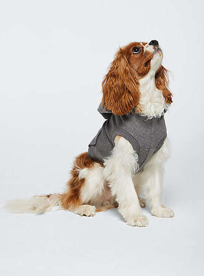 St. Benedict // Dog Hoodie