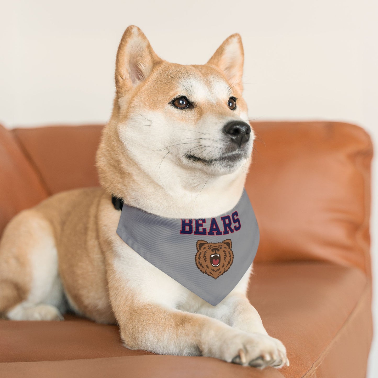 Pet Bandana Collar